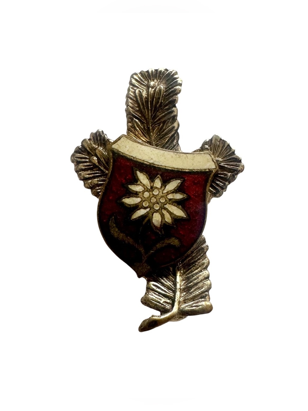 Vintage Austrian Enamel Edelweiss Shield Brooch, Alpine Region